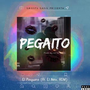 Pegaito (feat. El Nito & RDM) [Explicit]