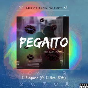 Pegaito (feat. El Nito & RDM) (Explicit)