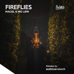 Fireflies (with MID LOW)