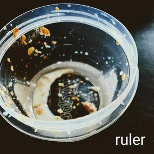 Ruler (Explicit)