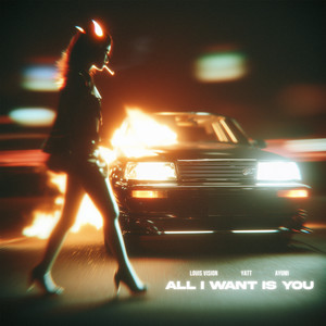 Louis Vision - All I Want Is You