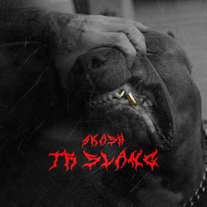TR SLANG (Explicit)