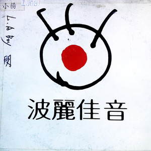 闪 (黑胶版)