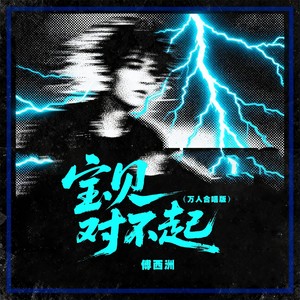 宝贝对不起-傅西洲