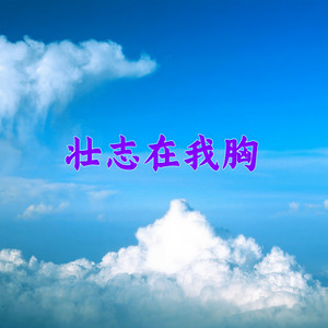 壮志在我胸 (DJ阿韾版)