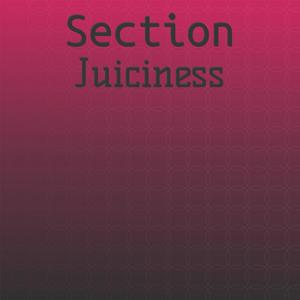 Section Juiciness