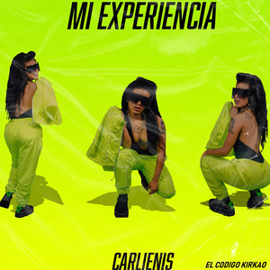 Mi Experiencia