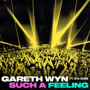 Such A Feeling (feat. Aya Anne) (Extended Mix)