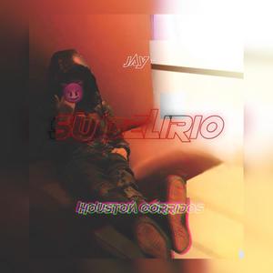 Su Delirio (Explicit)