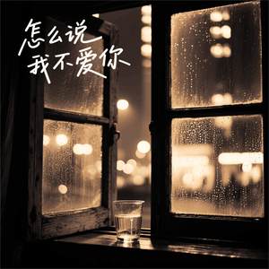 怎么说我不爱你 (享那些愉悦得那些忧伤)