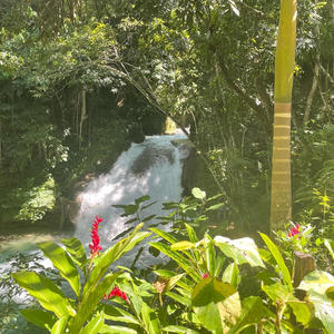 Black Leather (Explicit)