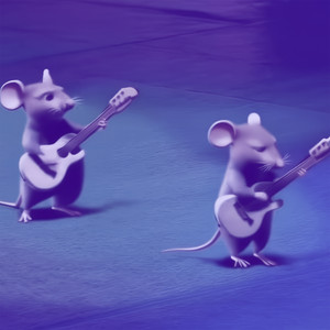 mice band