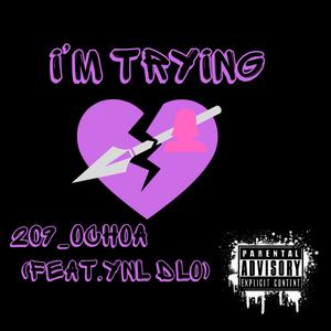 I'm Trying (feat. Ynl Dlo) [Explicit]