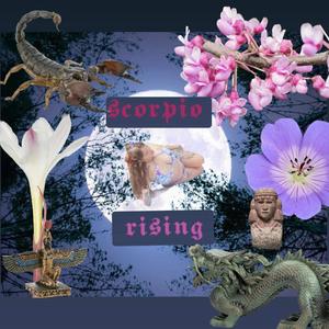 scorpio rising (pwr2u)