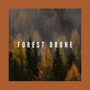 Forest Drone