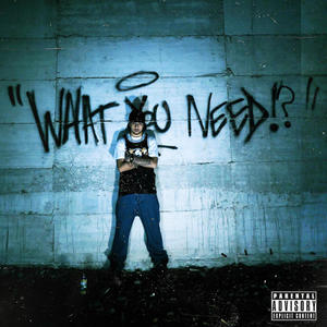 What You Need!? (Explicit)