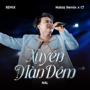 Xuyên Màn Đêm (Remix)