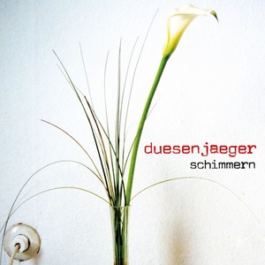 Schimmern