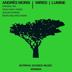 Wired (Pedro Belardo Remix)