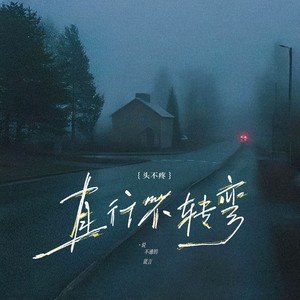 直行不转弯 (说不通的谎言)