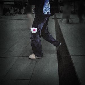 Blaulicht Reportagen