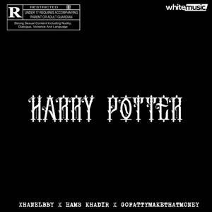 Harry Potter (Explicit)