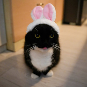 Wham whammie (Explicit)