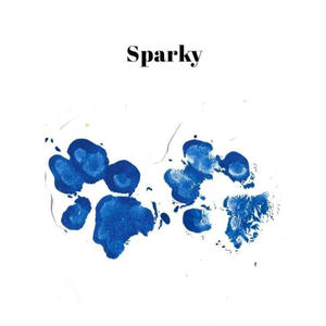 SPARKY (Explicit)