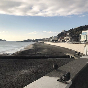 一个人的夜我的心应该放在哪里 (DJ版)