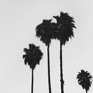 Brisbane September 25 2004 IV