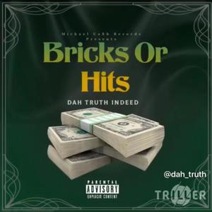 Bricks Or Hits (Explicit)