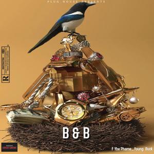 Birds & Bees (feat. Ybe Phame & Young Buck) (Explicit)