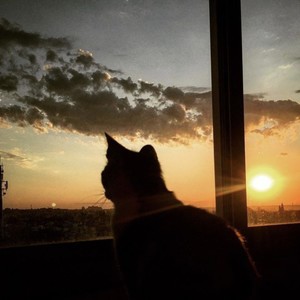 Рассвет Hoodtrap (Slowed|Explicit)