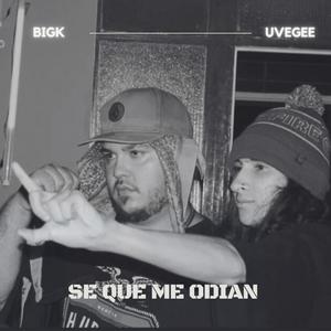 Se que me odian (feat. Uvegeee) [Explicit]