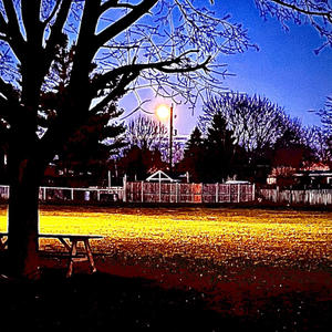 Sentience (Explicit)