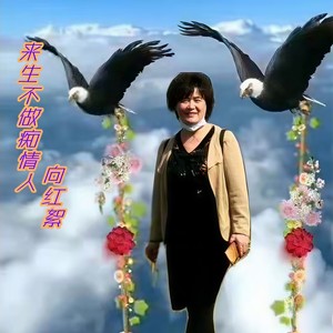 来生不做痴情人
