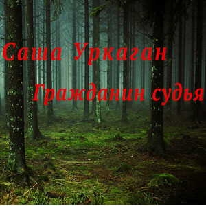 Гражданин судья