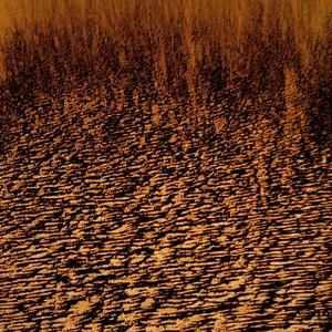 Bob Marley (Explicit)