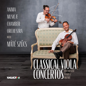 Clarinet Concerto in A Major, K. 622 (Arr. for Viola & Orchestra) - II. Adagio