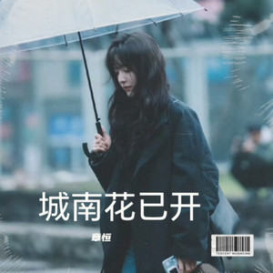 城南花已开 (钢琴版|章恒 remix)