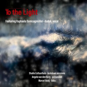 To The Light (feat. Raphaela Danksagmüller)