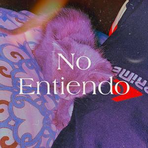 No entiendo