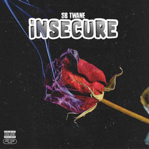 Insecure (Explicit)
