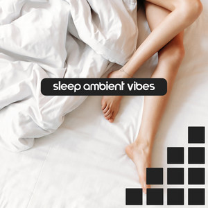 Sleep Ambient Vibes – Gravity, Slumber, Reality, Dreams, Chillax, Rest