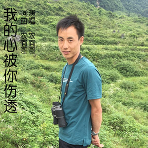 我的心被你伤透 (独唱版)