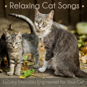 Relaxing Cat Songs: Lullaby Melodies Engineered for Your Cat