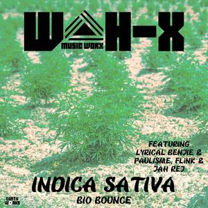 Indica Sativa (Bio Bounce)