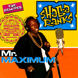 Maximum (DJ RL Brawta Mix)