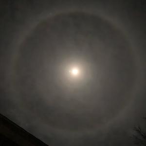 Lex - Strange But True