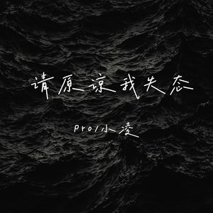 请原谅我失态